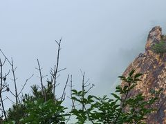 -燕窝岭