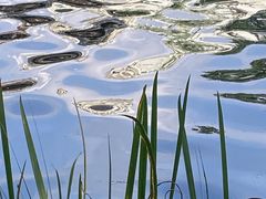 -荔湾湖公园
