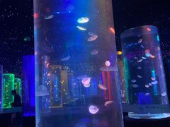 -锦艺城海洋馆