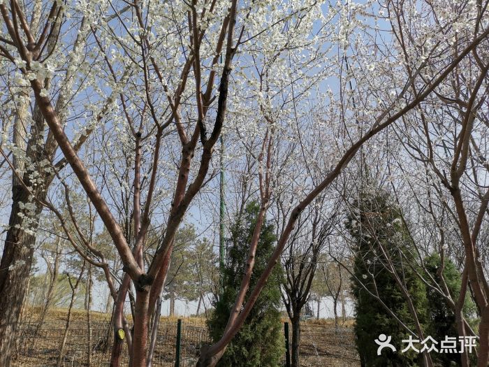 东升文体公园图片