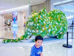 -首开·龙湖成都西宸天街