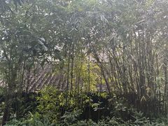-法云安缦酒店