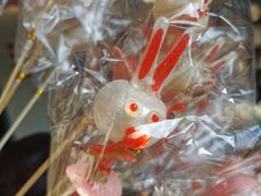 -寒香会社(平江路店)