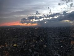 -东京都厅舍