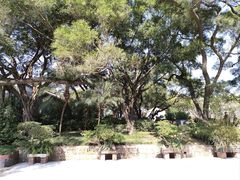 -广州莲花山旅游区