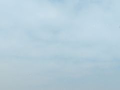 -水上明月·湖景餐厅