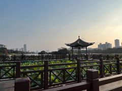 -南宁南湖公园