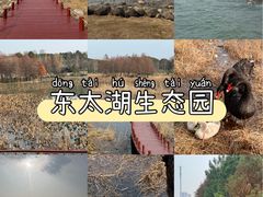 -苏州东太湖生态园