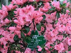 -南山风景名胜区