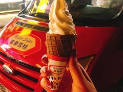 -富豪雪糕车流动点(尖沙咀店)