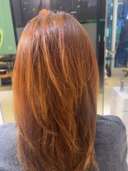 -悦SALON