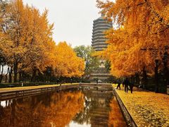 -玲珑塔公园