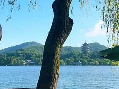 -柳莺湖上·湖景餐厅·江南菜(西湖店)