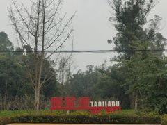 -黄龙溪古镇