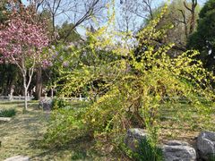 -莲池书院博物馆