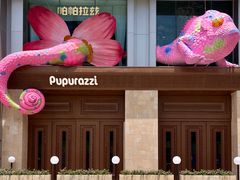 -帕帕拉兹宠物(亚洲旗舰店)