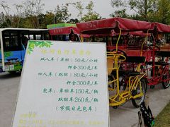 -上海长兴岛郊野公园