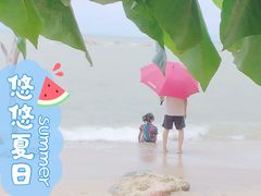 -大浪湾