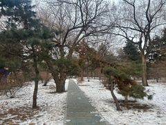 -北陵公园