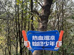 -滴水岩森林公园
