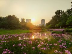 -重庆彩云湖湿地公园