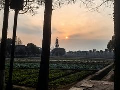 -乌村