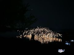 -长田漾湿地公园