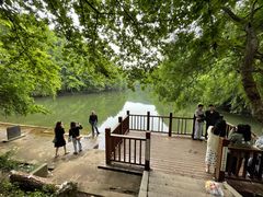 -青龙山国家森林公园