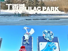 -丁香湖公园