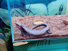 -梦幻海洋王国(吾悦广场张家港店)