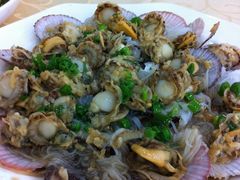 扇贝-海岛渔村大酒店(云霄路店)