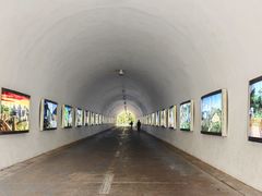 -深圳国际园林花卉博览园