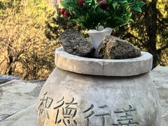 -白水寺森林公园