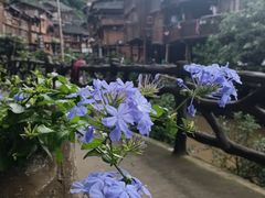 -肇兴侗寨
