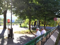 -Bench De La Treille