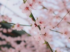 -白塔山公园