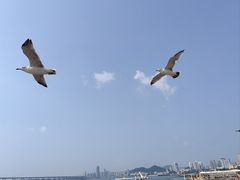 -大连君悦酒店