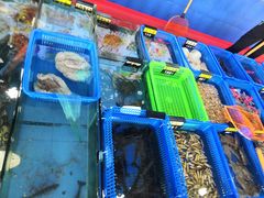 -七鲜渔港美食餐厅(巽寮湾海景店)