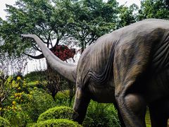 -自贡恐龙博物馆