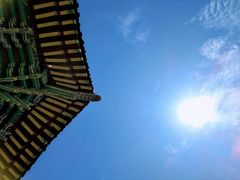 -龙口南山旅游景区