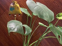 -颐而康按摩(八一桥总店)