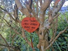 -东部华侨城
