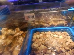-锅儿欢海鲜火锅烤肉自助餐(东港凯虹店)