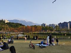 -牛岗山公园
