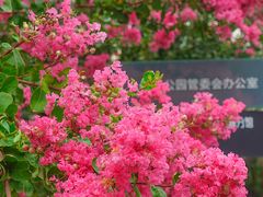 -杭州城北体育公园