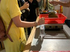 -都念榴莲·城市榴莲