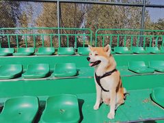 -瀛海足球主题公园