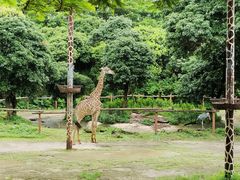 -深圳野生动物园