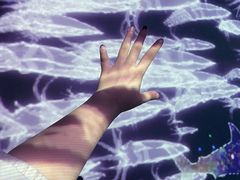 -暹罗海洋世界