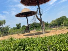 -济南野生动物世界